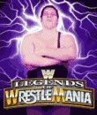 game pic for Legends of wrestling